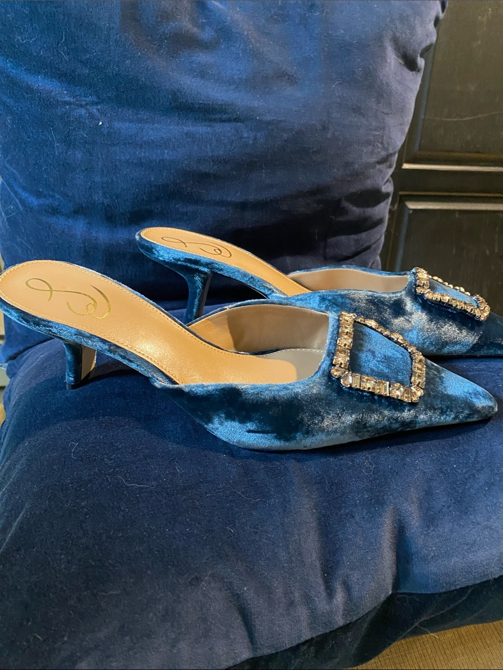 Sam Edelman Blue Velvet Pointed Crystal-Buckle Mules - Picture 4 of 4